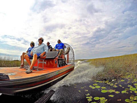 Cypress Outdoor Adventures | Fort Lauderdale Airboat Tours