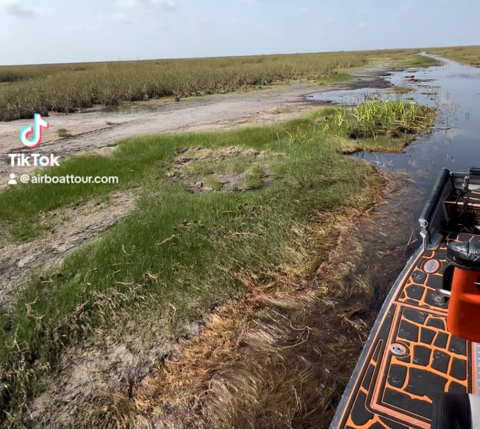 Airboat Tours Airboating in the Florida Everglades during the dry season